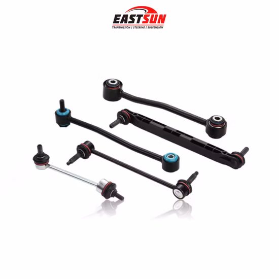 Collegamento stabilizzatore sospensione Collegamento barra antirollio (48820